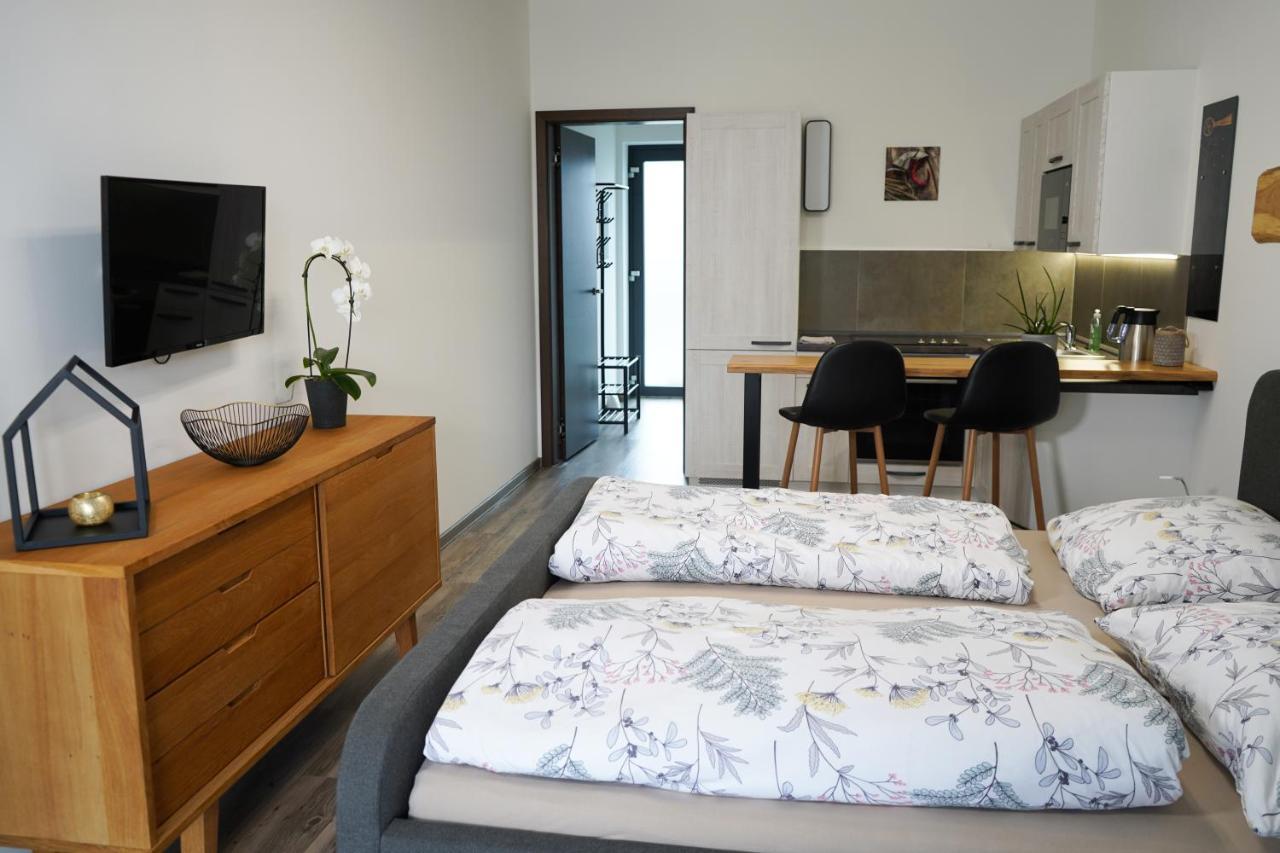 Hofmann Apartment Egra  Extérieur photo